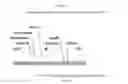 Fig. 34 - Recombinant HVT vectors expressing multiple antigens of avian pathogens and uses thereof