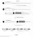 Fig. 02 - METHODS AND PRODUCTS FOR PRODUCING ENGINEERED MAMMALIAN CELL LINES WITH AMPLIFIED TRANSGENES