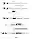 Fig. 06 - METHODS AND PRODUCTS FOR PRODUCING ENGINEERED MAMMALIAN CELL LINES WITH AMPLIFIED TRANSGENES