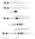 Fig. 07 - METHODS AND PRODUCTS FOR PRODUCING ENGINEERED MAMMALIAN CELL LINES WITH AMPLIFIED TRANSGENES