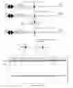 Fig. 09 - METHODS AND PRODUCTS FOR PRODUCING ENGINEERED MAMMALIAN CELL LINES WITH AMPLIFIED TRANSGENES