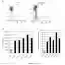 Fig. 11 - METHODS AND PRODUCTS FOR PRODUCING ENGINEERED MAMMALIAN CELL LINES WITH AMPLIFIED TRANSGENES