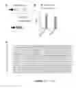 Fig. 12 - METHODS AND PRODUCTS FOR PRODUCING ENGINEERED MAMMALIAN CELL LINES WITH AMPLIFIED TRANSGENES