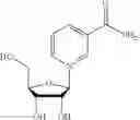 Fig. 05 - Enzymatic Systems and Methods for Synthesizing Nicotinamide Mononucleotide and Nicotinic Acid Mononucleotide