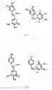 Fig. 02 - Method and agents for detecting luciferase activity