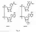 Fig. 03 - Method and agents for detecting luciferase activity