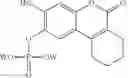 Fig. 22 - Screening Broths Comprising Esculatin Compounds for the Detection of Specific Microorganisms
