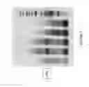 Fig. 06 - Methods for assembling DNA molecules