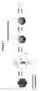 Fig. 02 - Nucleic Acid Preparation Method
