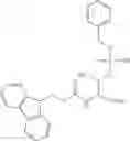 Fig. 19 - BIOPROBES AND METHODS OF USE THEREOF