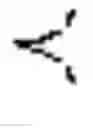 Fig. 03 - Reaction mixture containing probes having indistinguishable labels