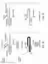Fig. 02 - MULTIPLEX INVASIVE CLEAVAGE ASSAYS