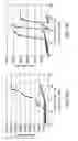 Fig. 11 - MULTIPLEX INVASIVE CLEAVAGE ASSAYS
