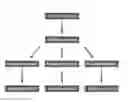 Fig. 01 - Detection of nucleic acid molecules