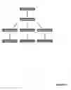 Fig. 02 - Detection of nucleic acid molecules