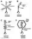 Fig. 01 - INTEGRATED IMMUNO-PCR AND NUCLEIC ACID ANALYSIS IN AN AUTOMATED REACTION CARTRIDGE