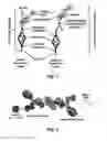 Fig. 02 - INTEGRATED IMMUNO-PCR AND NUCLEIC ACID ANALYSIS IN AN AUTOMATED REACTION CARTRIDGE