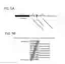 Fig. 06 - Methods for the detection of genomic copy changes in DNA samples