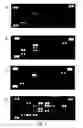 Fig. 02 - ASSAY