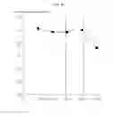 Fig. 09 - COIL SPRING STEEL