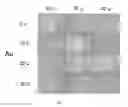 Fig. 08 - COATED ARTICLES AND METHODS