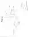 Fig. 43 - Processing Apparatus for Processing Subject
