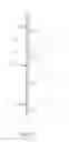Fig. 04 - Rebar wall set-up bar