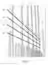 Fig. 06 - Rebar wall set-up bar