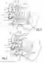 Fig. 06 - Smart latch