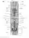 Fig. 01 - Testable back pressure valves
