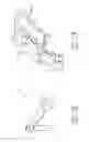 Fig. 10 - Sync ring assembly and associated clevis including a rib