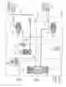 Fig. 04 - FUEL SUPPLY SYSTEM