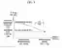 Fig. 10 - Exhaust gas purification apparatus and method for controlling the same