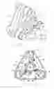 Fig. 06 - Scroll type device having liquid cooling through idler shafts