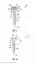 Fig. 06 - Construction nailing screw