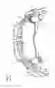 Fig. 02 - Utility vehicle disk brake