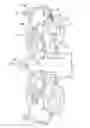 Fig. 01 - TORQUE CONVERTER VALVE