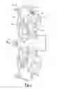 Fig. 02 - TORQUE CONVERTER VALVE
