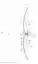 Fig. 04 - Lighting apparatus
