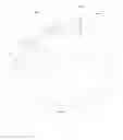 Fig. 06 - Decorative Lighting Apparatus