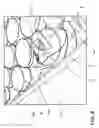 Fig. 09 - Ice cutting tray
