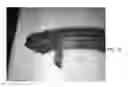Fig. 12 - FIXED CARTRIDGE MAGAZINE