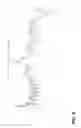 Fig. 08 - Fiber optic sensor shaped for a particular frequency response and method of manufacturing same