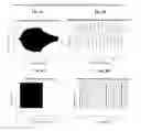Fig. 09 - DEVICES AND METHODS TO STIMULATE MOTION IN MAGNETOELASTIC BEAMS