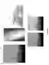 Fig. 10 - Dual-energy microfocus radiographic imaging method for meat inspection