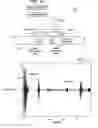 Fig. 06 - Non destructive magnetostrictive testing with unidirectional guided waves generated by ferromagnetic strip sensor