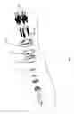 Fig. 02 - High pressure valve with multi-piece stator assembly