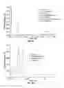 Fig. 09 - Chip-Scale Gas Chromatography