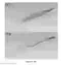 Fig. 13 - Microfluidic photoionization detector