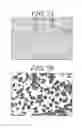 Fig. 06 - Image processing device, pathological diagnosis support system, storage medium for image processing, and image processing method